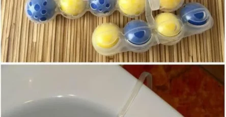 472685105 122115107192681878 3923038346168441686 n 1 750x1030