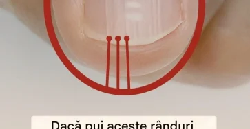 690852769 1545187353724628 5099798490951761291 n