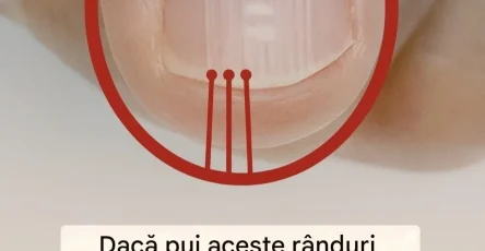 690852769 1545187353724628 5099798490951761291 n
