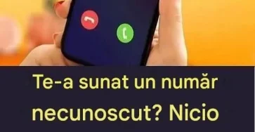718297821 2208407606627181 845912602509408362 n