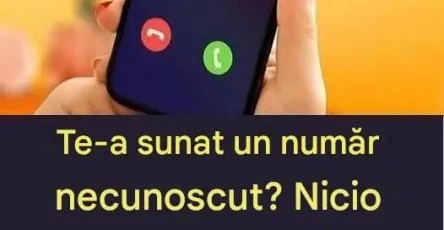 718297821 2208407606627181 845912602509408362 n