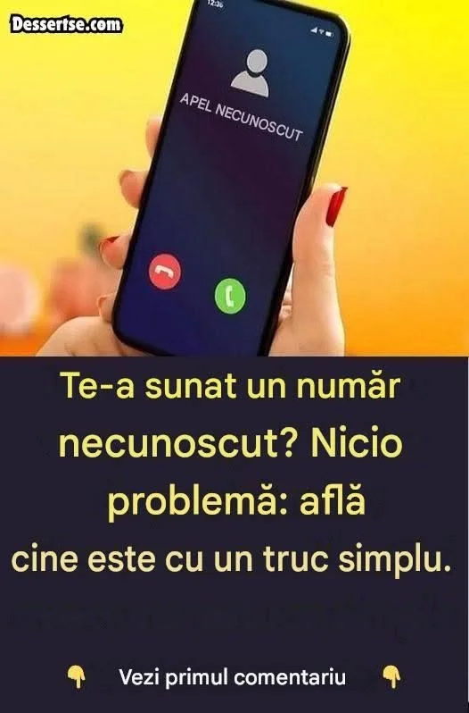 718297821 2208407606627181 845912602509408362 n