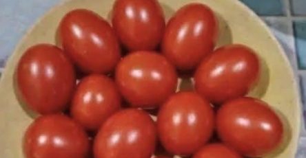 741670319 122132615439097202 3968143640481740561 n