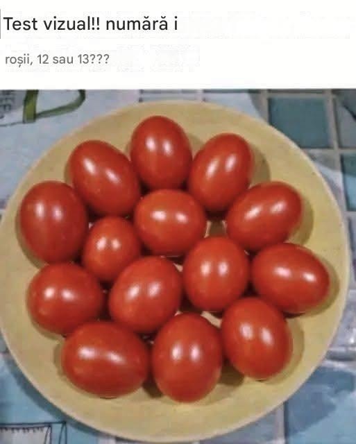 741670319 122132615439097202 3968143640481740561 n