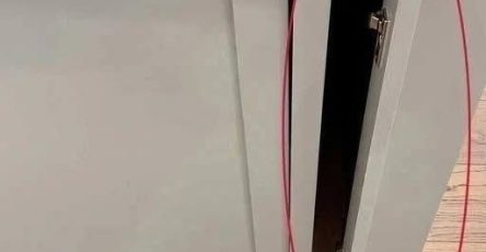 743081985 122095545027401423 4954675464338710766 n