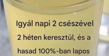 746284186 3267578730296678 4044961347854529233 n