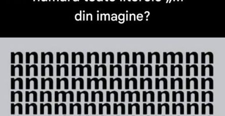 746294952 1010893018498273 1716299059454043564 n