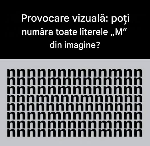 746294952 1010893018498273 1716299059454043564 n