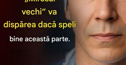 747369624 2099768957635275 2594987451245807979 n