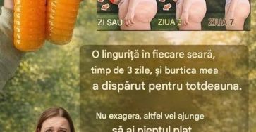 748631454 122116779585074216 3517408197082387005 n