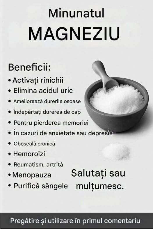 748704973 122142792885076670 3945064832624426635 n