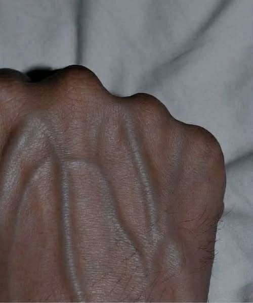 752653167 122111690235385316 7219183008083405393 n
