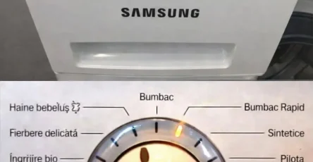756632412 122167048214671951 9194256843134494562 n