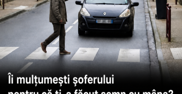 9e31b531 4d51 4bc5 bd58 2627b56566d8