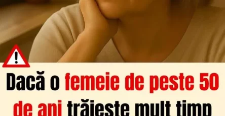 FB IMG 1766137686873 750x904 (1)