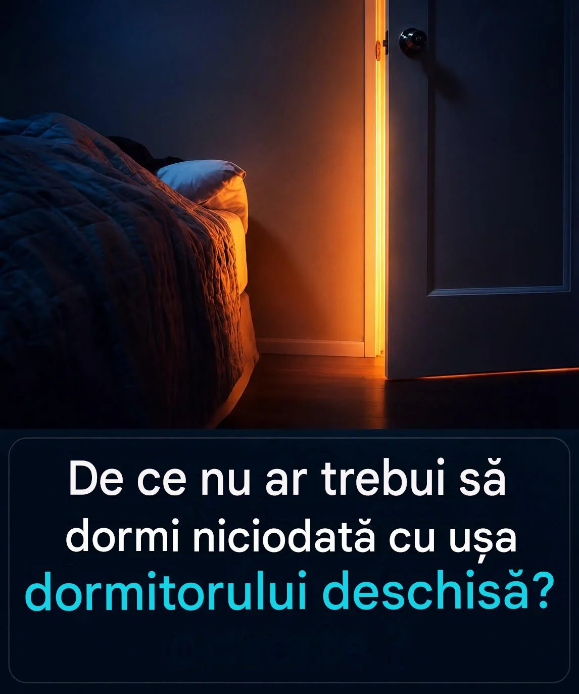 Bbb5e7b6 b328 4406 8d45 cd9684a85272