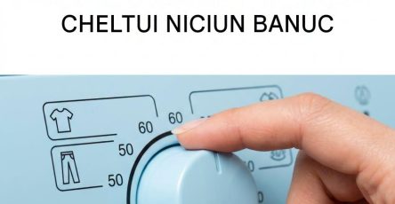 C0bbeb88 920e 44af b090 250529ee39ad