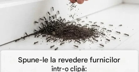 Df4c139d 0a64 49a8 a93f b5a831683e73