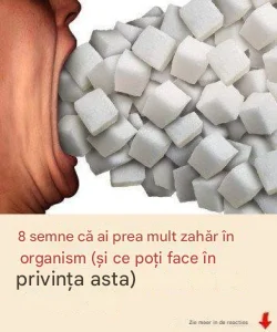 E92bab3c 5b6e 47a3 a29c 3a35ebdecfb5
