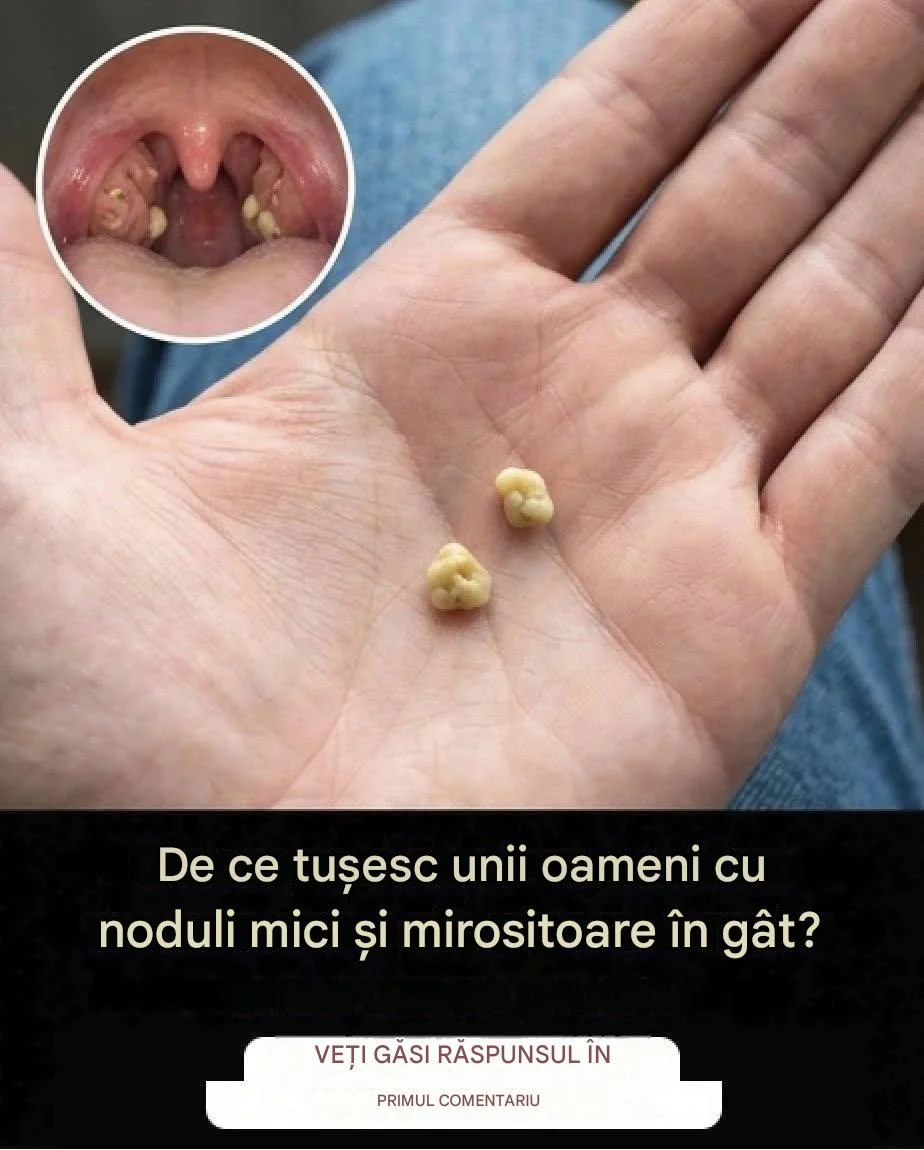 Eba4a41d dd55 4d5a 876f ab4d19d885bc