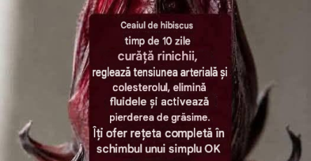 Translated image ro 2026 07 22T154746.709 (1)