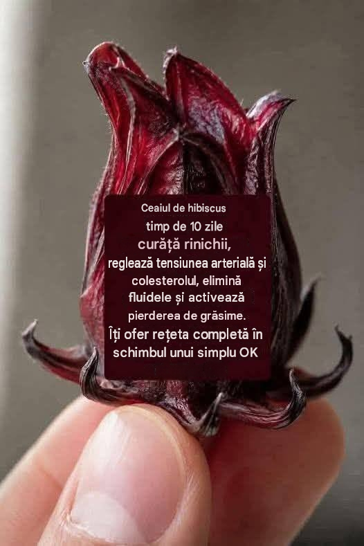 Translated image ro 2026 07 22T154746.709 (1)