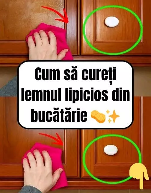 988d1a73de645ac722b24c8a346dc206