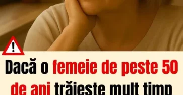 FB IMG 1766137686873 750x904 (2)