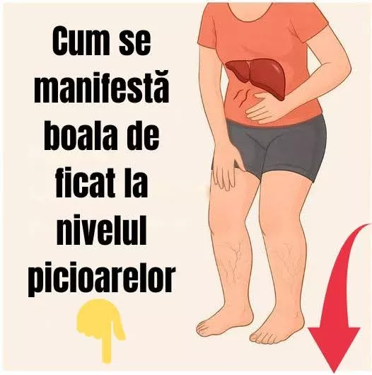FB IMG