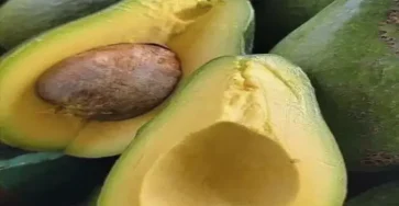 C0a8b566e2cc5466d42980601e3f437c 750x900